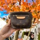 Louis Vuitton Mini Bumbag