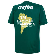 2021/22 Palmeiras Camisa Tricampeão da América 1:1 Home Fans Jersey