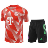 23-24 Bayern Red White Training Short Suit