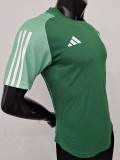 23-24 Algeria Green Special Edition Player Version Soccer Jersey (没图案)