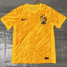 24-25 France Yellow GoalKeeper Soccer Jersey