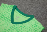 24-25 Palmeiras Light green Tank top and shorts suit