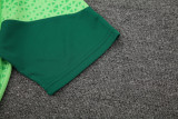 24-25 Palmeiras Light green Training Short Suit