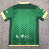 24-25 Tokyo Verdy Home Fans Soccer Jersey 东京绿茵