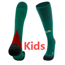 24-25 Wales Away Green Kids Socks(儿童)