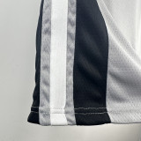 20-21 SA Spurs GINOBILI #20 Grey Top Quality Hot Pressing NBA Jersey (Trapeze Edition) 飞人版