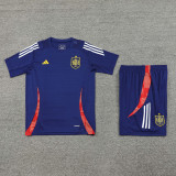 24-25 Spain Royal blue Training Short Suit