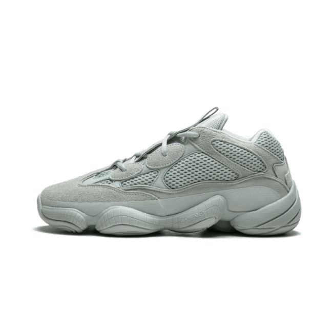 Yeezy 500 Salt