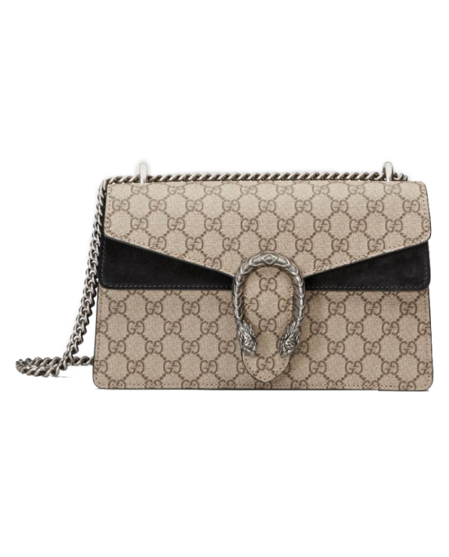 (Women) Dionysus small GG shoulder bag