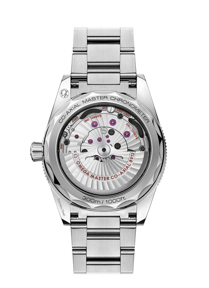 Hippocampus 300 41mm Master Chronometer