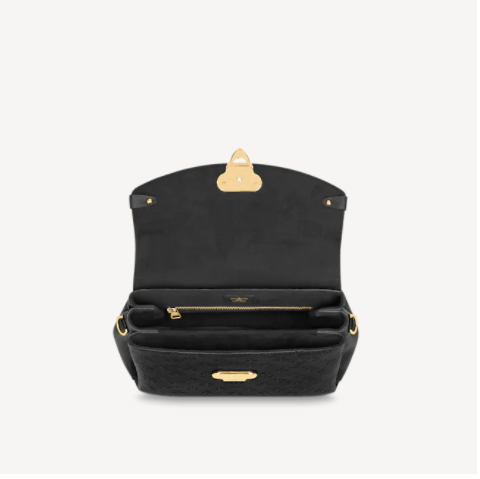 Louis Vuitton GEORGES medium handbag