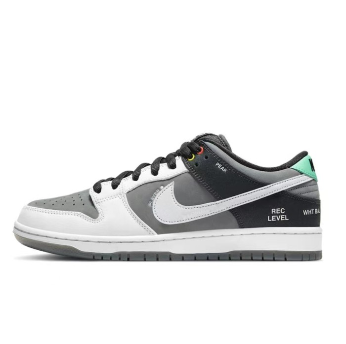 Nike SB Dunk Low Pro Iso VX1000 Camcorder