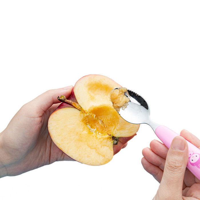 8676Jស្លាបព្រាកោស និង បញ្ចុកអាហារ