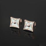 LVE16 316 stainless steel Fashion Earrings