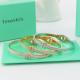 TB8  Exquisite stainless steel gold-plated jewelry T bracelet