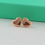TE2 Stainless steel gold-plated earrings