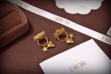 DE74 Classic women earrings