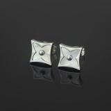 LVE16 316 stainless steel Fashion Earrings