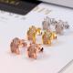 BVE2  316 stainless steel Fashion Earrings  jewelry