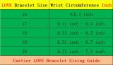 CAB15 bangle LOVE screw bracelet with screwdriver The most classic bangle