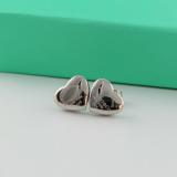 TE2 Stainless steel gold-plated earrings