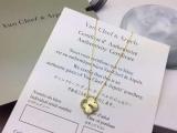 VAN19 Necklace 316L steel plating gold  Jewelry