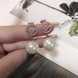 FE6 Woman fashion alloy earrings