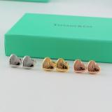 TE2 Stainless steel gold-plated earrings