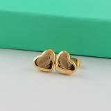 TE2 Stainless steel gold-plated earrings