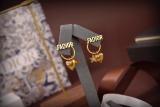 DE74 Classic women earrings