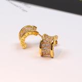 BVE2  316 stainless steel Fashion Earrings  jewelry