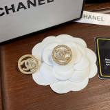 CE003  Women fashion earrings