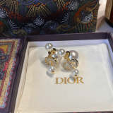 DE744  Women fashion earrings