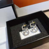 AE705  Women fashion earrings