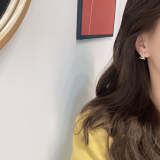 LVE119  Women fashion earrings