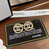 CE003  Women fashion earrings