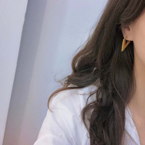 LVE483         Women fashion earrings