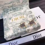 DE364        Women fashion earrings