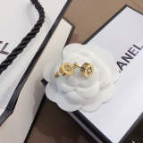 CE546        Women fashion earrings