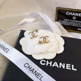 CE735     Women fashion earrings