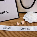 CE719     Women fashion earrings