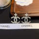 CE737       Women fashion earrings