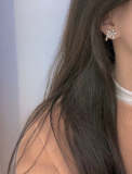 DE364        Women fashion earrings