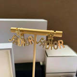 DE390       Women fashion earrings