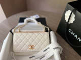 ACP27 Leather Bag 19-12cm With box