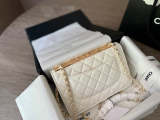 ACP27 Leather Bag 19-12cm With box