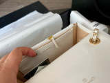 ACP27 Leather Bag 19-12cm With box