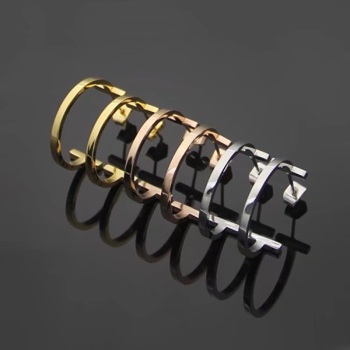 TE04 Fashion New Style Earring Jewelry
