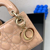 LDP0  Leather Bag  12-10-5CM Handbag