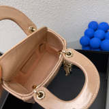 LDP0  Leather Bag  12-10-5CM Handbag